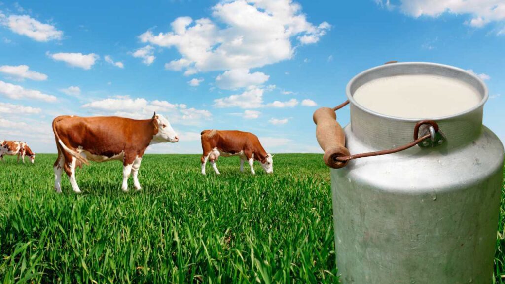 Cow's Milk Has More Protein and Calcium than Plant-Based Milks - The ...