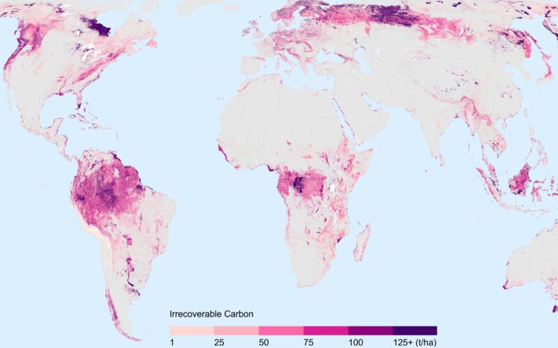 carbon reserves protection